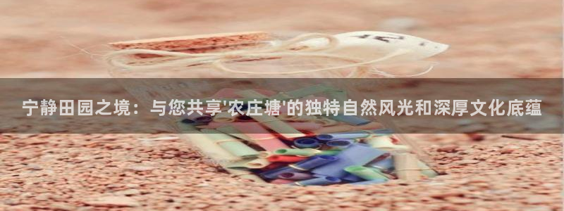 金吉年会