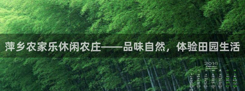 年会金句心得