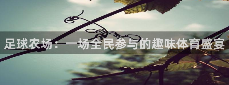 金联金年会