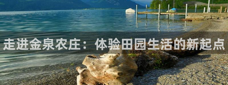 年会金句心得