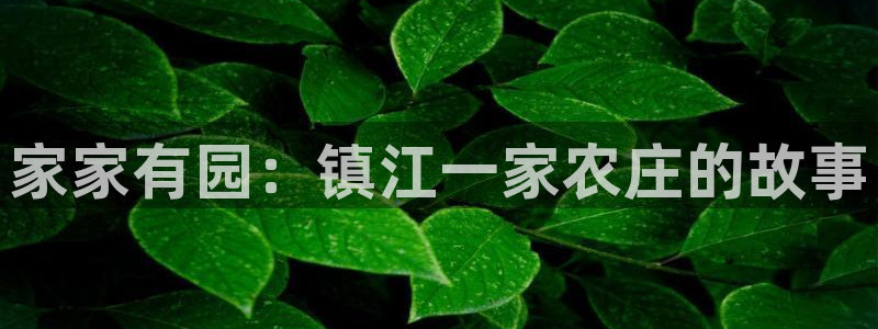 金年会手机登录