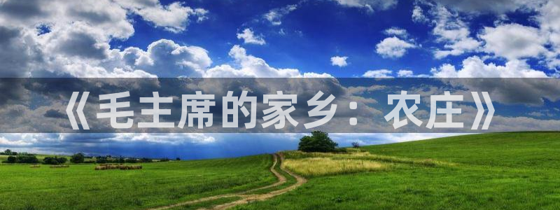 金年会今年会