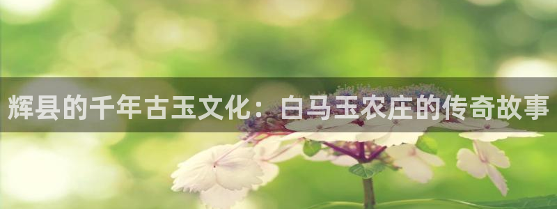 金年会平台是不是大台子