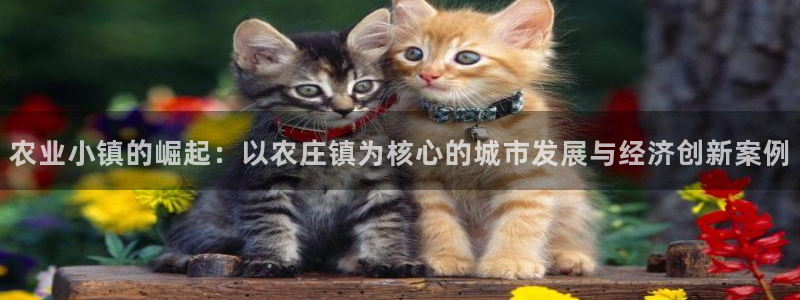 金年会软件之家下载