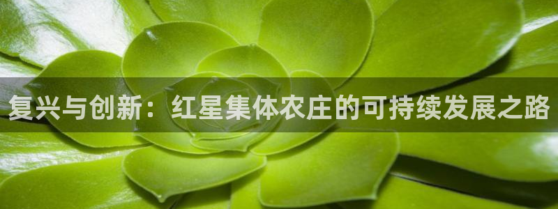 金年会6088070