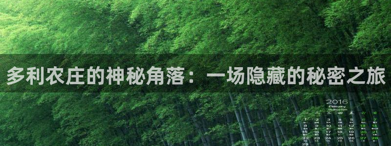 金哥年会