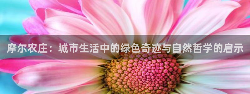 金年会体育苹果下载