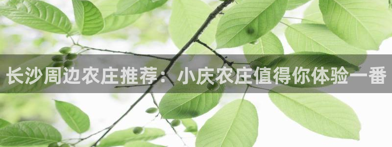 金年会在线登录