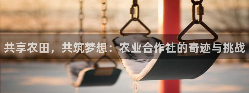 金辉城年会视频