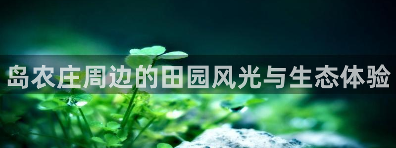 金年会娱乐提现