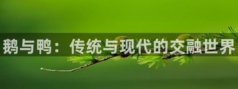 金年会网登录平台入口