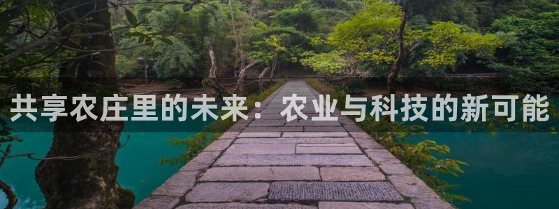 金哥年会