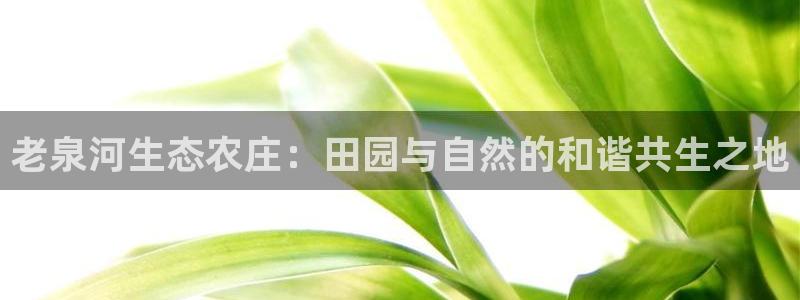 金升年会