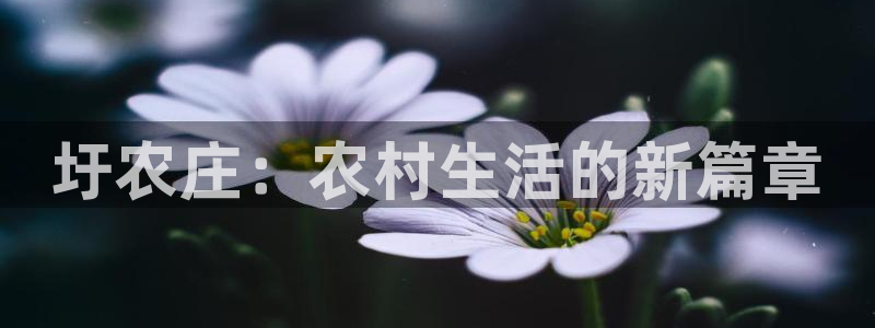 金年会体育在线入口