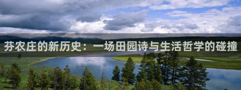 金年会娱乐官网