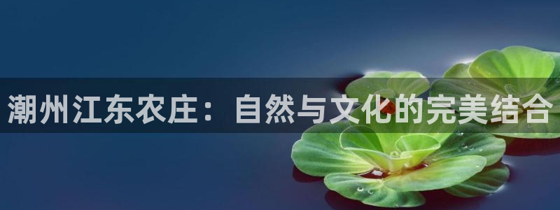 金年会平台包赔