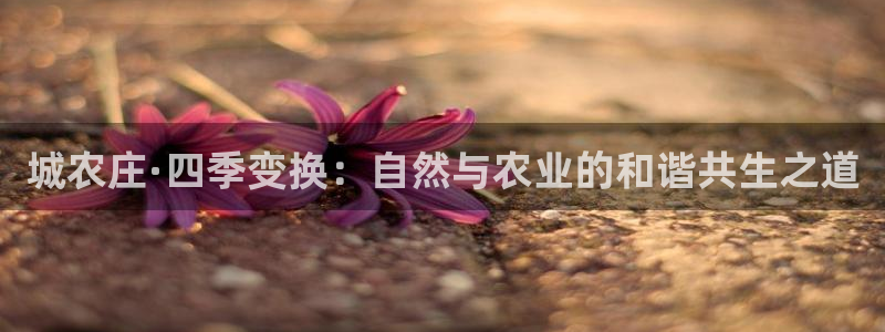 澳门娱乐金年会