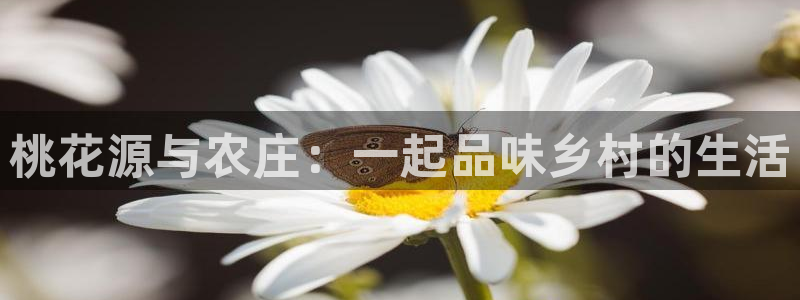 金年会最新官网
