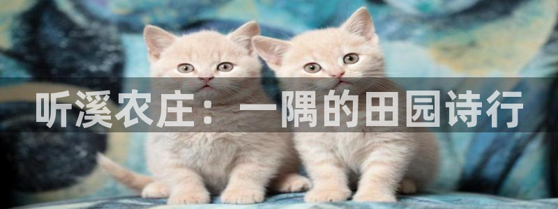 金汉江年会