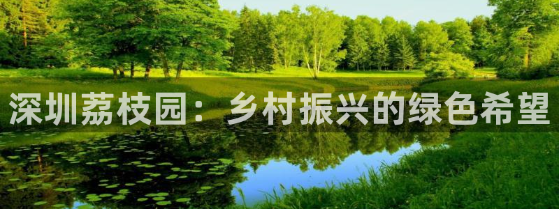 金立年会