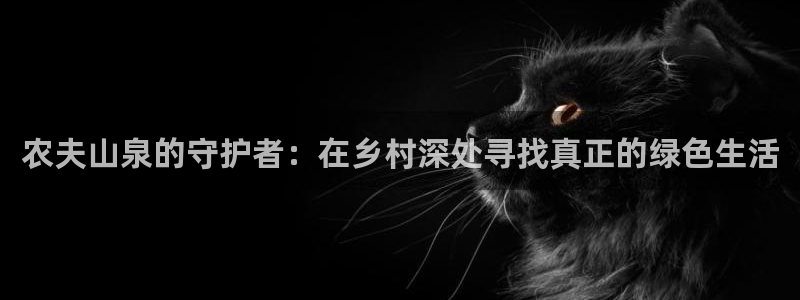 金顶年会