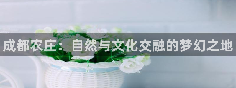 金年会手机版