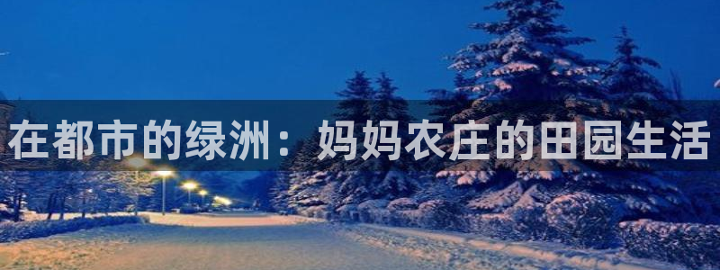 金年会VIP