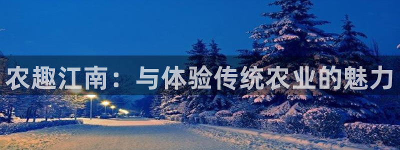 金年会是正规的吗