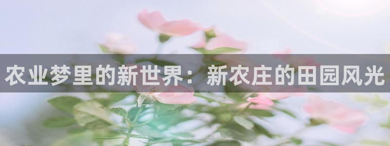 金年会代理