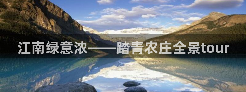 金年会全站app