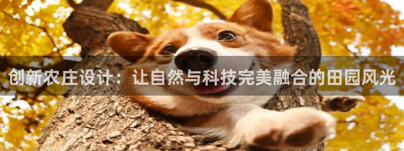 金年会平台登陆