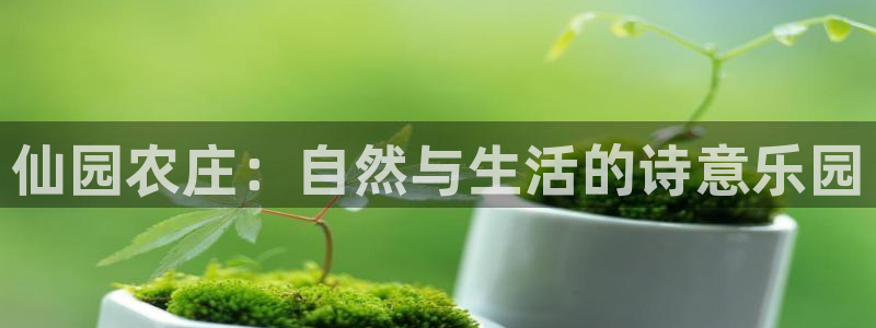 金年会金字招牌信誉至上