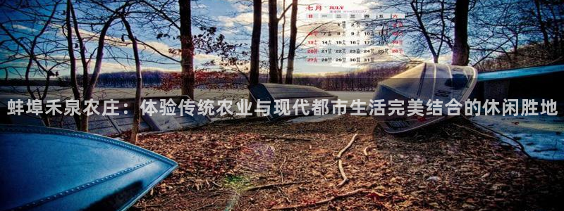 年会金句心得