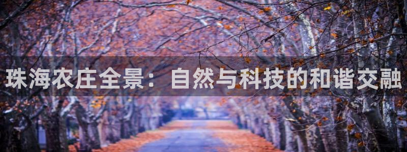 澳门金年会棋牌