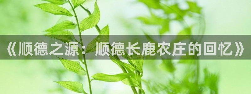金年会综合APP