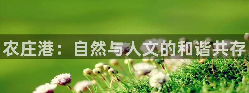 金吉年会