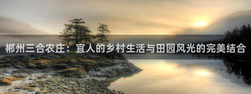 jinnian金年会