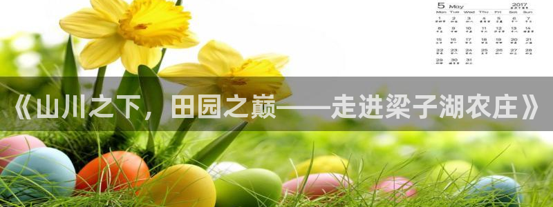 金年会金字招牌诚信至上