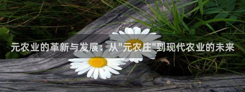 金年会彩金