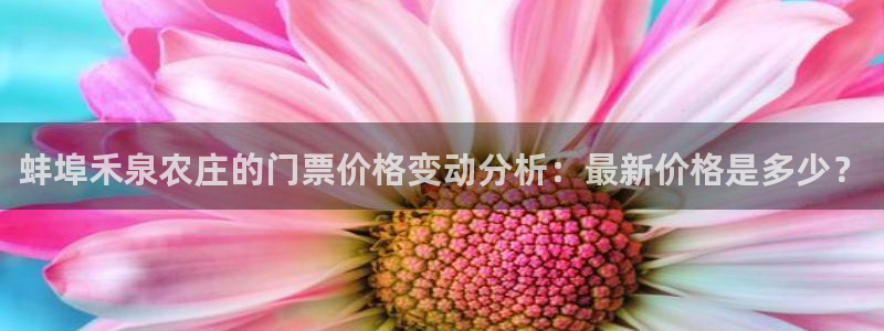 金年会活动策划