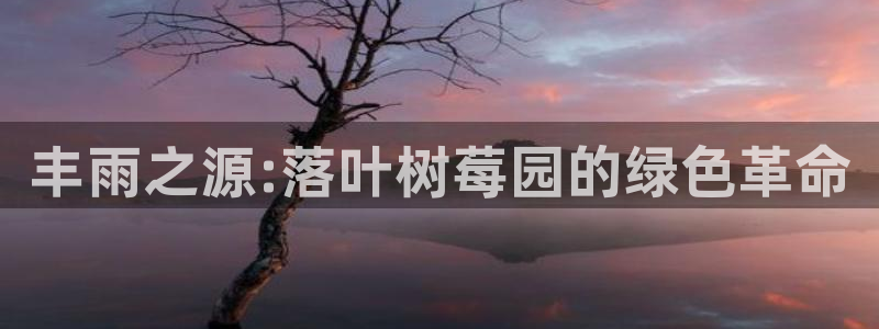 金年会体育娱乐