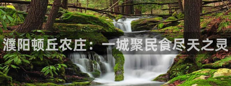金年会ios下载