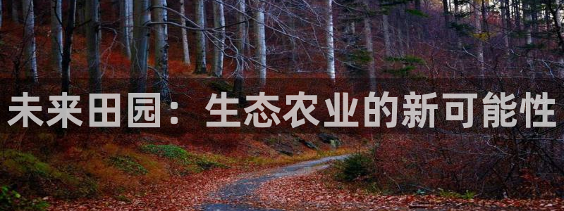金年会平台