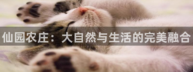金年会体育官方