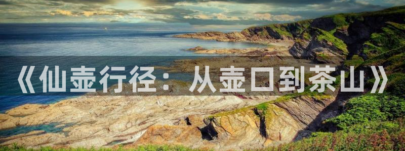 金年会全站