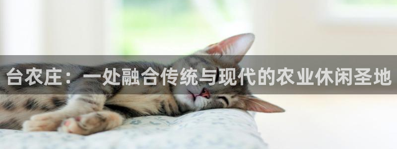 金年会网官网新版