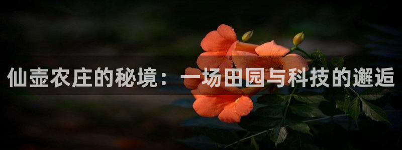金年会是真的吗