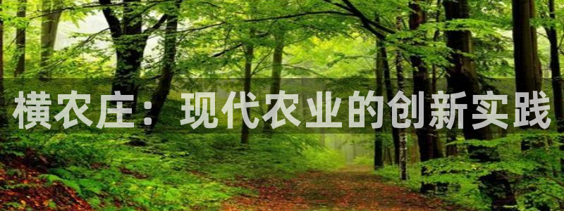 金辉城年会视频