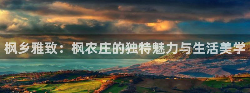 金年会赞助曼联