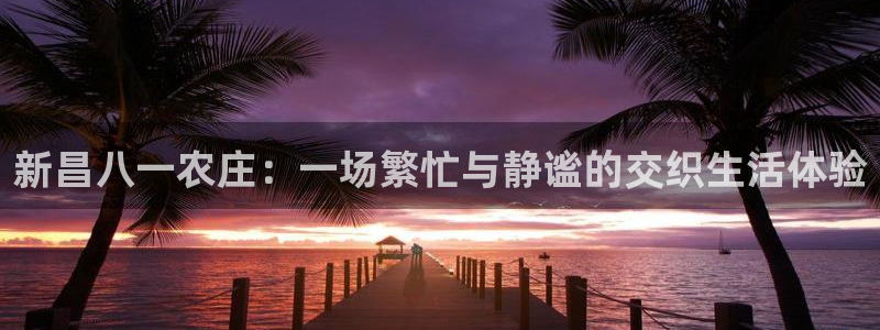金年会退款